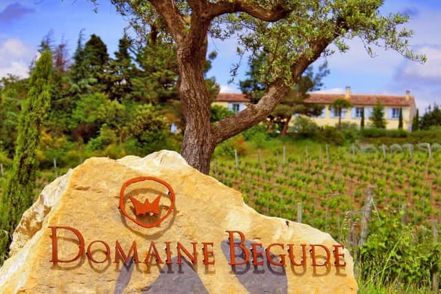 Their vineyard, Domaine Begude.