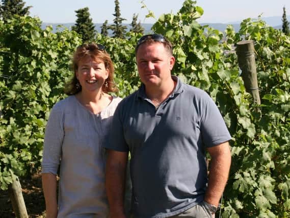 James and Catherine Kinglake at their Limoux vineyard,