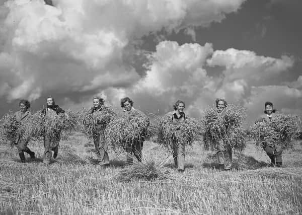 A group of land girls bringing in sheaves of wheat from a field reclaimed for the war effort from 400-acres of unused land in August 1941.