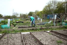 Should councils be encouraged to provide more allotment plots? Photo: Yui Mok/PA Wire