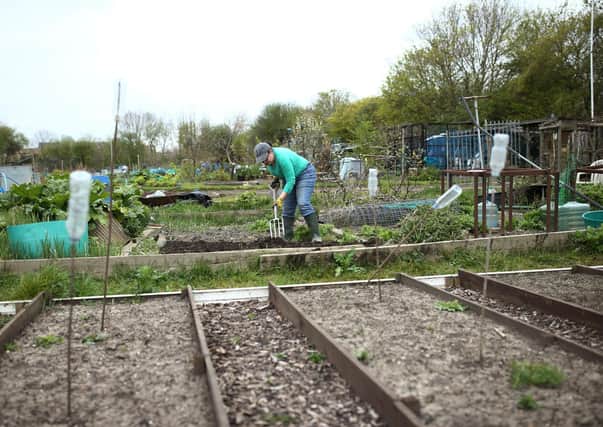 Should councils be encouraged to provide more allotment plots? Photo: Yui Mok/PA Wire