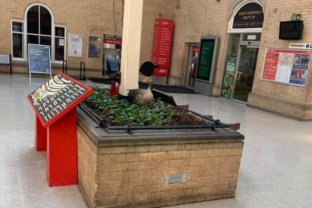 The goose has nested in a flower box close to the main entrance to York Station