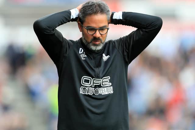 FRUSTRATION: David Wagner says the stresses of managing Huddersfield Town stopped him developing