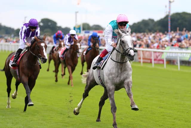 Logician came to prominence when winning York's Great Voltigeur Stakes at the Ebor festival under Frankie Dettori.