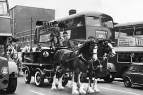 Tetley's Brewery Shire horses and carriage in 1969