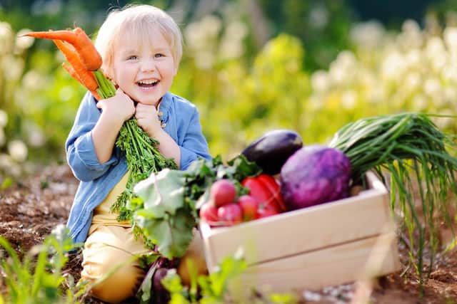 Will you be getting your children involved in gardening? Photo: iStock/PA