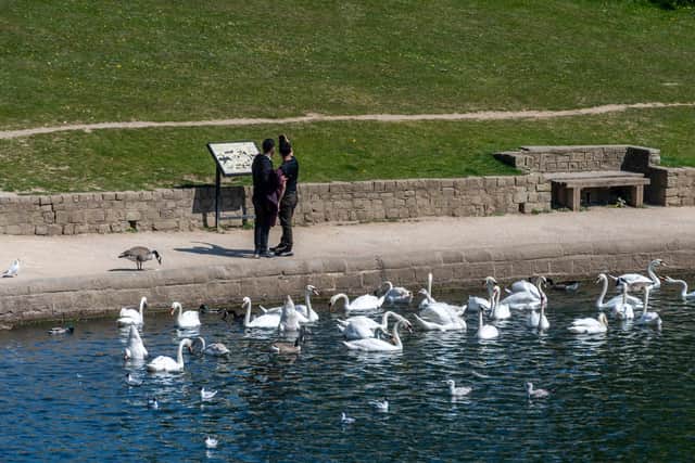 Members of the public enjoying the warm weather whilst exercising in Roundhay Park, Leeds. Date: 25th April 2020. Picture James Hardisty.