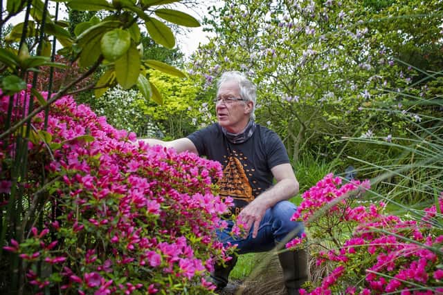 Chriss Line, chairman of the Selby Beekeepers Association, looks at the blooms in his garden. Picture Tony Johnson