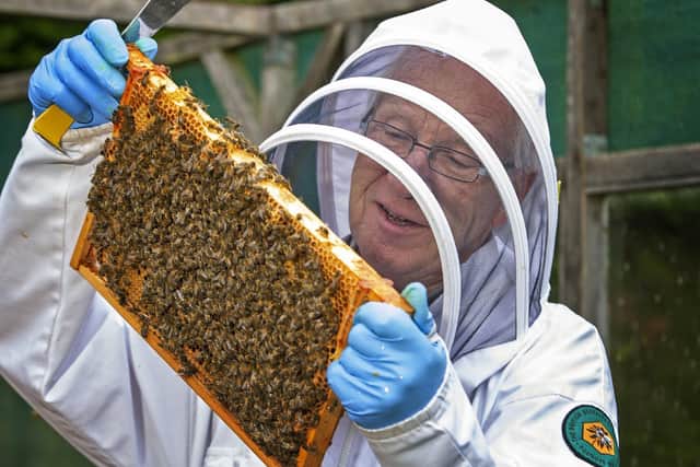 Chriss Line, chairman of the Selby Beekeepers Association, checks on his hives in his apiary at the foot of his garden. Picture Tony Johnson