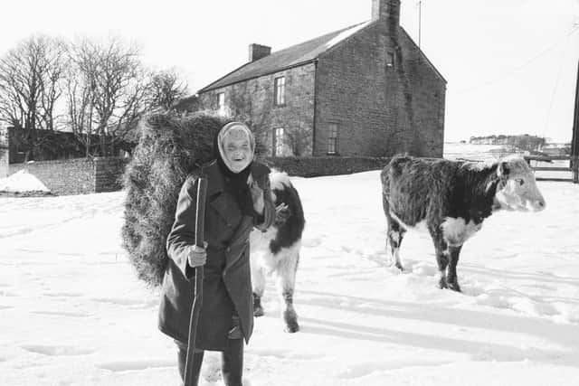 Hannah Hauxwell at Low Birk Hatt during a difficult winter