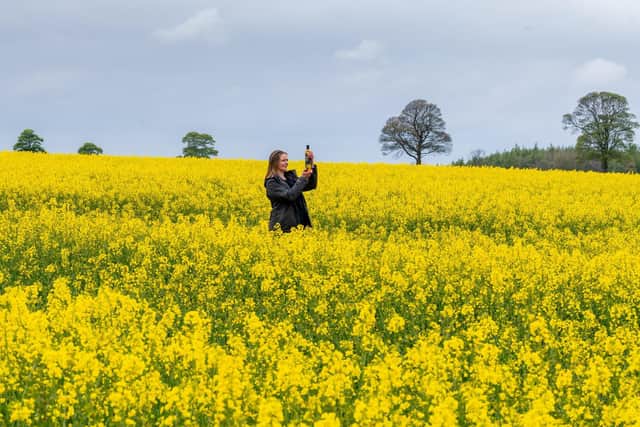Yorkshire Women in Farming member Jennie Palmer of Thixendale, who is home-schooling two young children alongside marketing for the family's Yorkshire Rapeseed Oil business. Image: James Hardisty