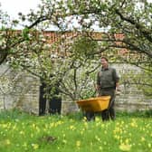 Nick Fraser, Head Gardener at Nunnington Hall, tends to the apple blossom.
Picture Jonathan Gawthorpe.