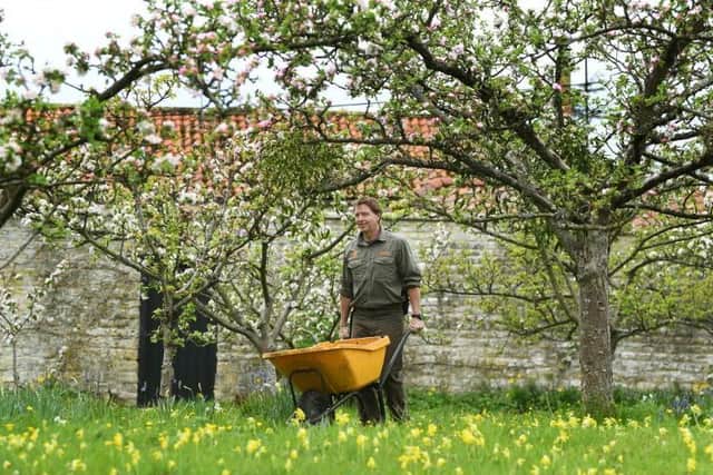 Nick Fraser, Head Gardener at Nunnington Hall, tends to the apple blossom.
Picture Jonathan Gawthorpe.