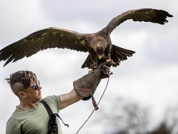 Training still continues behind closed doors at the Bird of Prey and Mammal Centre.