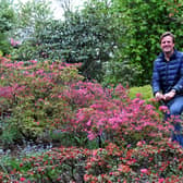 Himalayan Garden & Sculpture Park, Ripon. Pictured Will Roberts tending to the gardens. Images by Gerard Binks, May 2020, video compiled before the lockdown.