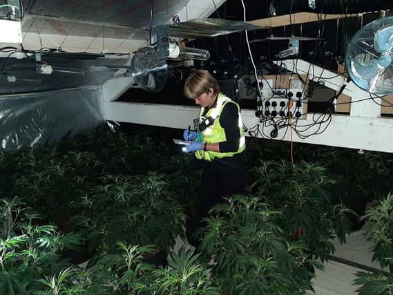 Officers discovered the large-scale cannabis operation in an industrial building in Bankgate Mills in Slaithwaite, Huddersfield.