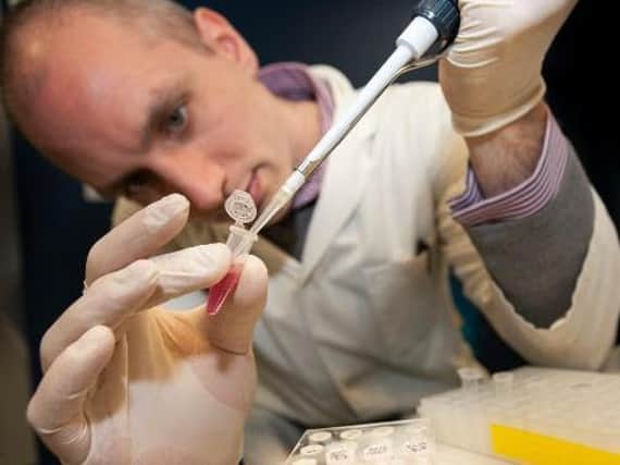 Pictured, Project lead - Dr Simon Baker, from the University of York's department of biology, extracting RNA from bladder cells grown in the laboratory for the study. Photo credit: Phil Roberts / other