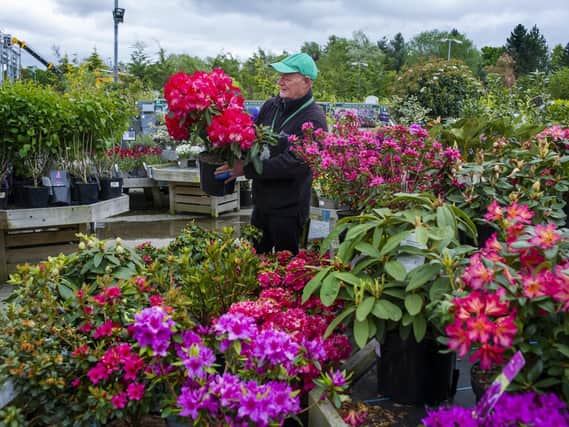 Joe Appleyard, plant supervisor, at Tong Garden Centre, near Leeds, preparing to open following the coronavirus lockdown restrictions being lifted by the Government