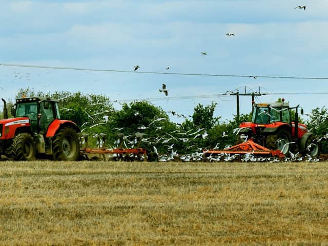 Seagulls follow tractors at Warren House Farm, Peckfield near Leeds, ploughing spring barley in preparation for planting peas.