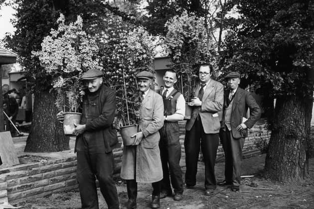 Gardeners carry flowers into the grounds of the Royal Hospital Chelsea, in preparation for the Chelsea Flower Show, 23rd May 1955. (Photo by Reg Speller/Fox Photos/Getty Images)
