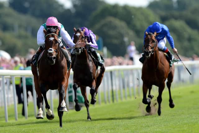 Thiswas Frankel turning the 2012 Juddmonte International into a one-horse race for Sir Henry Cecil. Photo: John Giles / PA.