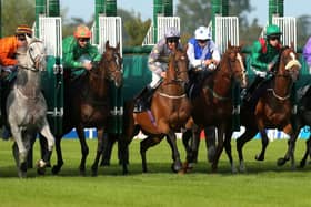 Racing could return at Newcastle on June 1. (Picture: Niall Carson/PA Wire)