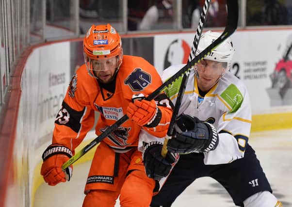 DUAL ROLE: Sheffield Steelers' defenceman Aaron Johnson battles on the boards. Picture: Dean Woolley.