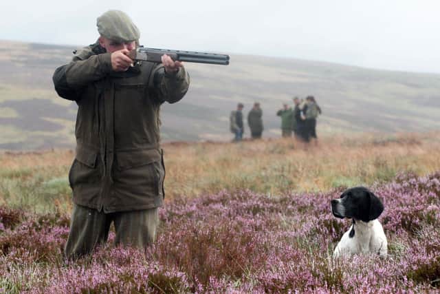 Grouse shooting and the management of Yorkshire moorlands continue to divide public and political opinion.