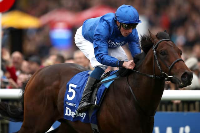 Pinatubo maintained his unbeaten record with a battling win in Newmarket's Dewhurst Stakes.