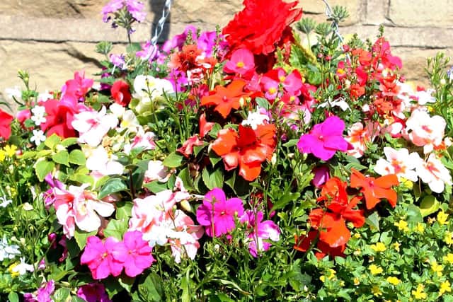 Now is a good time to start planting your hanging baskets. (Dave Overend).