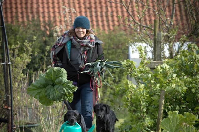 Polly and her dogs at the allotment