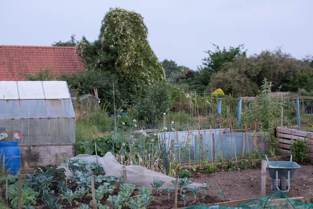 The allotment helped Polly pull through the worst days of her illness