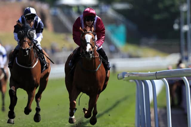 El Astronaute (right) is pictured winning at Chester for jockey Jason Hart and trainer John Quinn.
