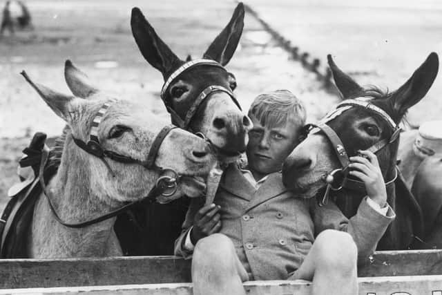 23rd July 1938:  Three donkeys at Douglas in the Isle of Man crowd round a boy to get a taste of his ice cream.  (Photo by George W. Hales/Fox Photos/Getty Images)
