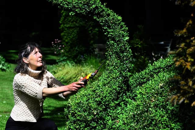 Debbie clipping her topiary swan