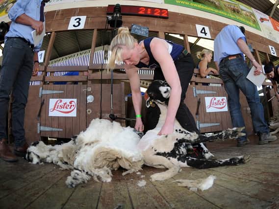 Sheep shearing gangs from overseas may not be able to travel due to coronavirus restrictions.