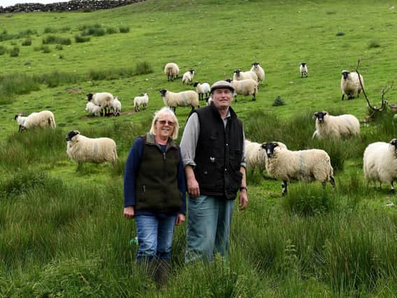 Martin Muir with his wife Audrey and their blackface sheep