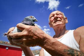 John Greenshield holds one of his racing pigeons after it returned to his coop complex in Wombwell, South Yorkshire, as pigeon racing beats snooker and horse racing to be the first sport to return following the easing of lockdown restrictions in England. Picture: Danny Lawson/PA Wire