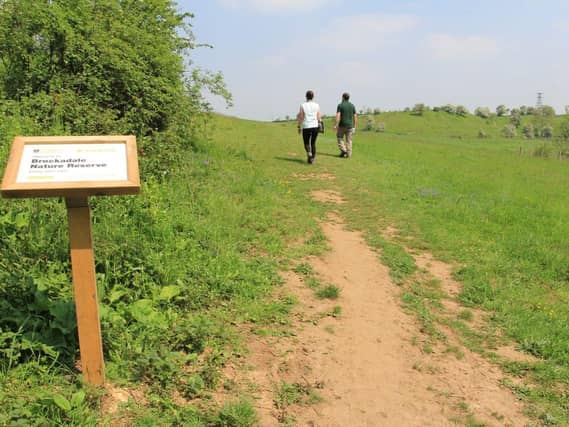 Brockadale nature reserve