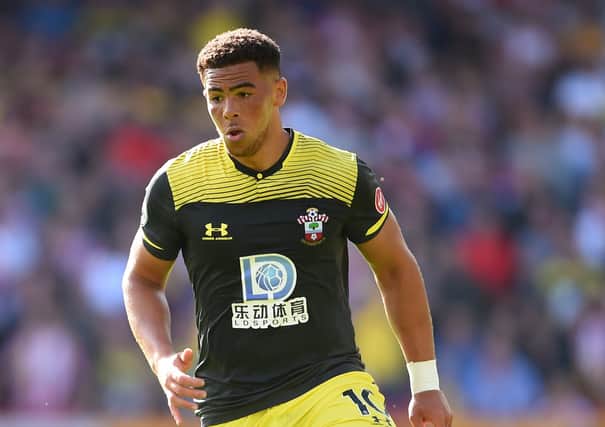 Che Adams of Southampton. Picture: Nathan Stirk/Getty Images