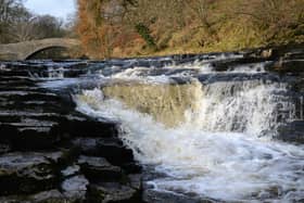 Stainforth Force has been inundated with visitors since the lifting of the lockdown.