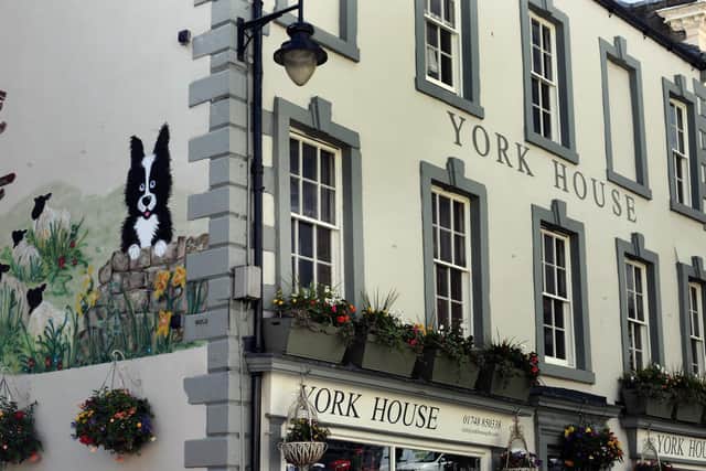The sheepdog mural on the side of York House in Richmond painted by Hobby artist Jackie Stubbs. Image: Gary Longbottom