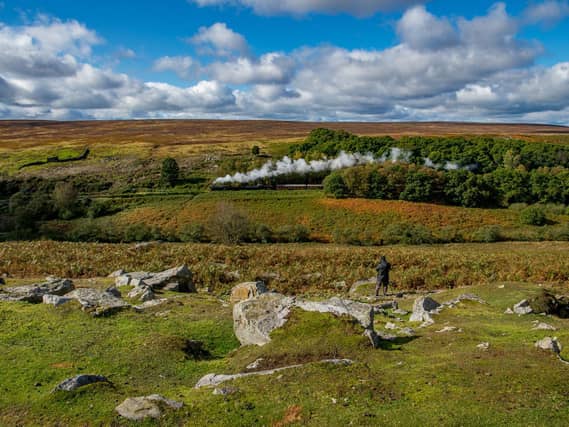 The beautiful - and rabbit-filled - North York Moors National Park appears to be the sea eagles' new habitat