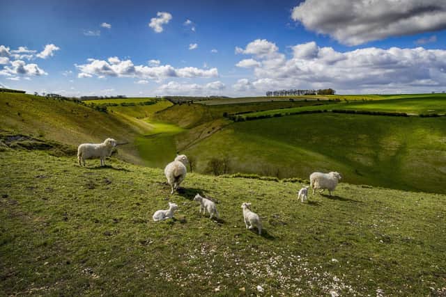 The Yorkshire Wolds are on buyers' radar