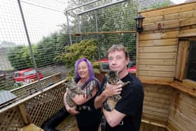 Sue and Richard Howarth, who had built a 'catio' outside their home.