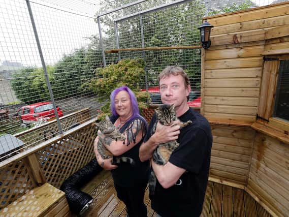 Sue and Richard Howarth, who had built a 'catio' outside their home.