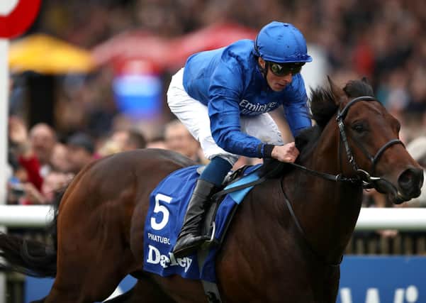 The unbeaten Pinatubo is favourite for today's 2000 Guineas under big race jockey William Buick.