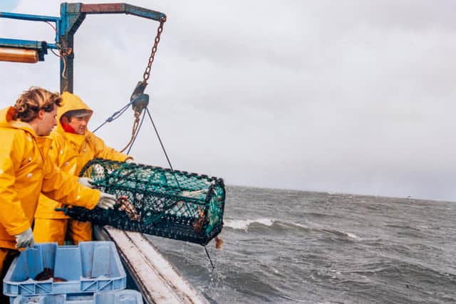 Fishermen off the coast of Flamborough, but should there be greater restrictions in future?