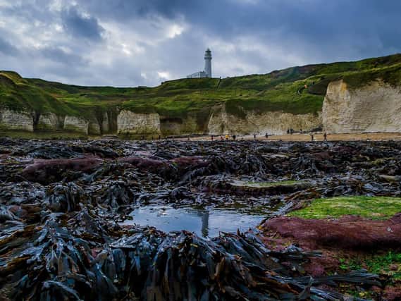 Flamborough Head is one of only three areas which has a 'no take' zone for fishing.