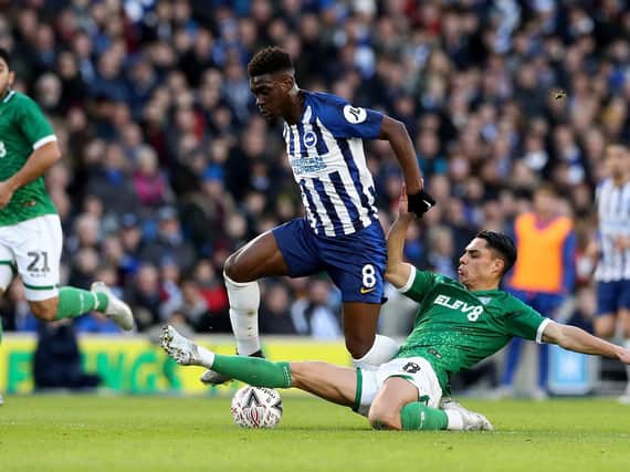 Sheffield Wednesday midfielder Joey Pelupessy (right) in action in the Owls' FA Cup win at Brighton in January.